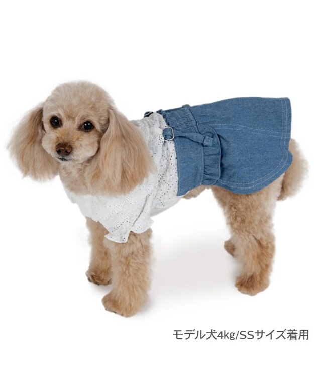 PET PARADISE ペットパラダイス レース襟 スカートつなぎ 小型犬　 ホワイト×ネイビー