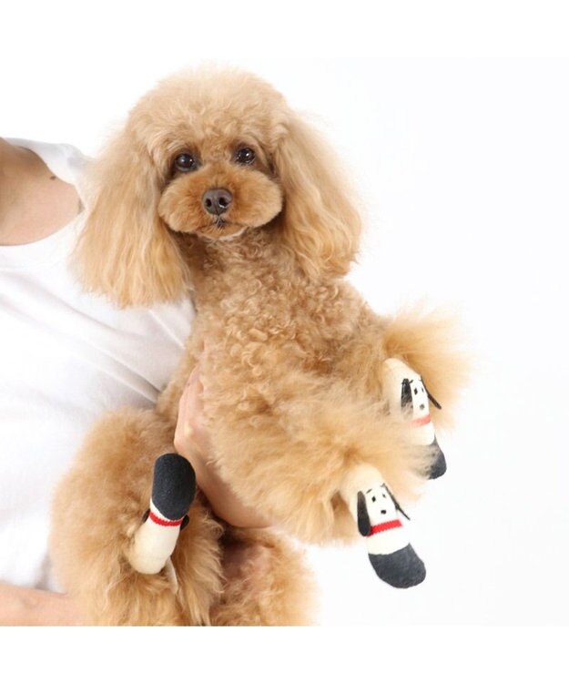 PET PARADISE スヌーピー フィットシューズ 靴下【Ｓ】 ホワイト