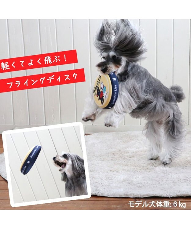 PET PARADISE 犬 おもちゃ リサとガスパール フライングディスク S (直径17cm) 黄