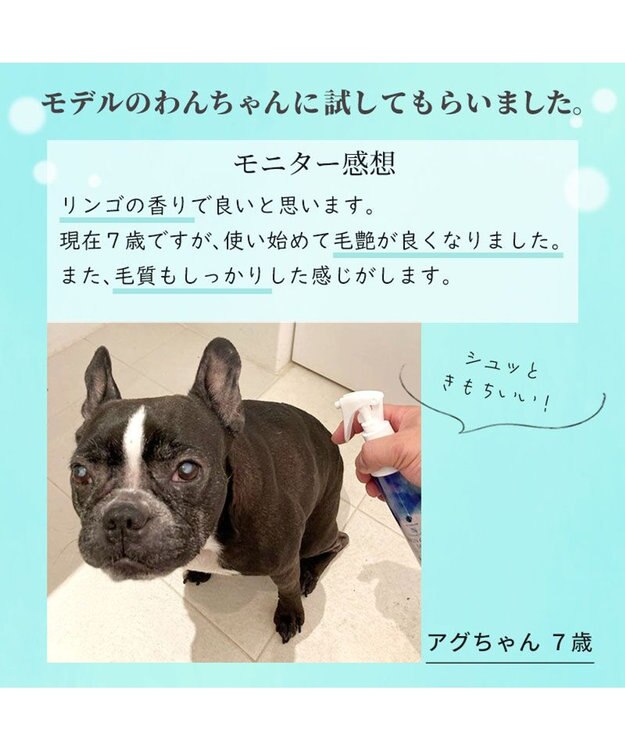 PET PARADISE 犬 スキンケア ミスト ミネラルミューズ 200mL -
