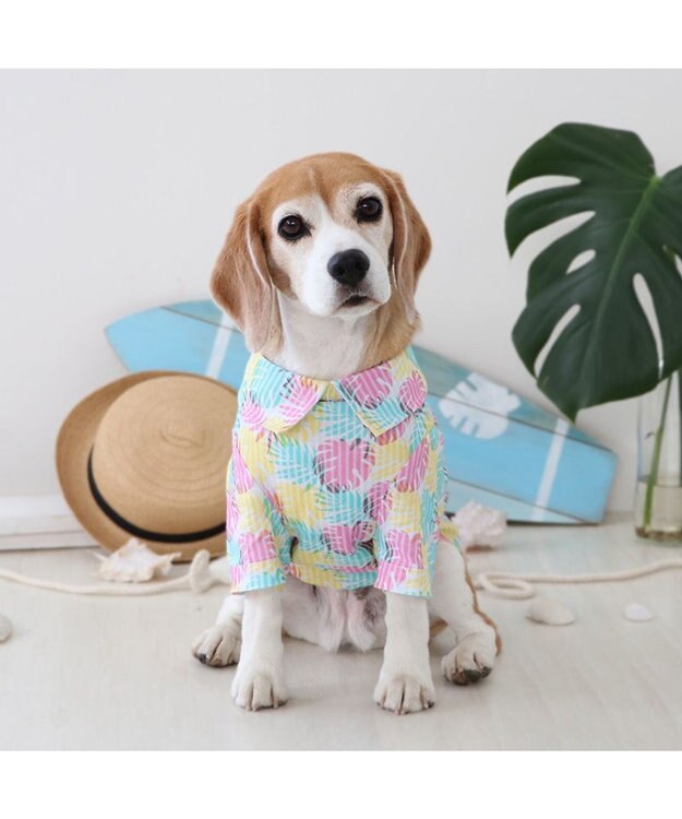 PET PARADISE スヌーピー アロハシャツ 【中型犬】 マルチカラー
