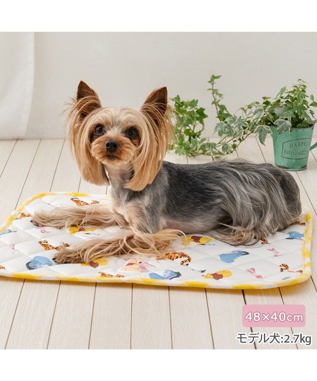 PET PARADISE ディズニー くまのプーさん クールマット 《みんな柄》 Ｓ ホワイト×イエロー