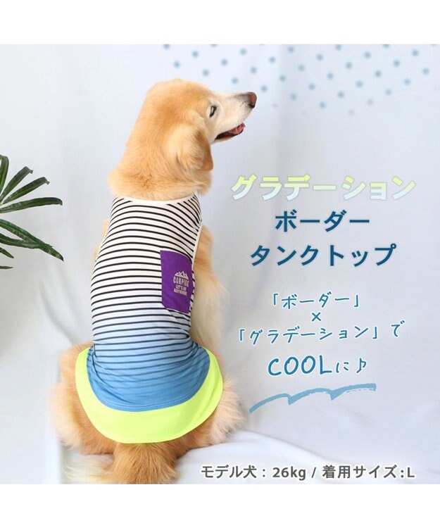 PET PARADISE 犬の服 夏 ひんやり クール メッシュ 接触冷感 虫よけ  グラデーション タンクトップ 【中型犬】【大型犬】クールマックスエコメイド 青