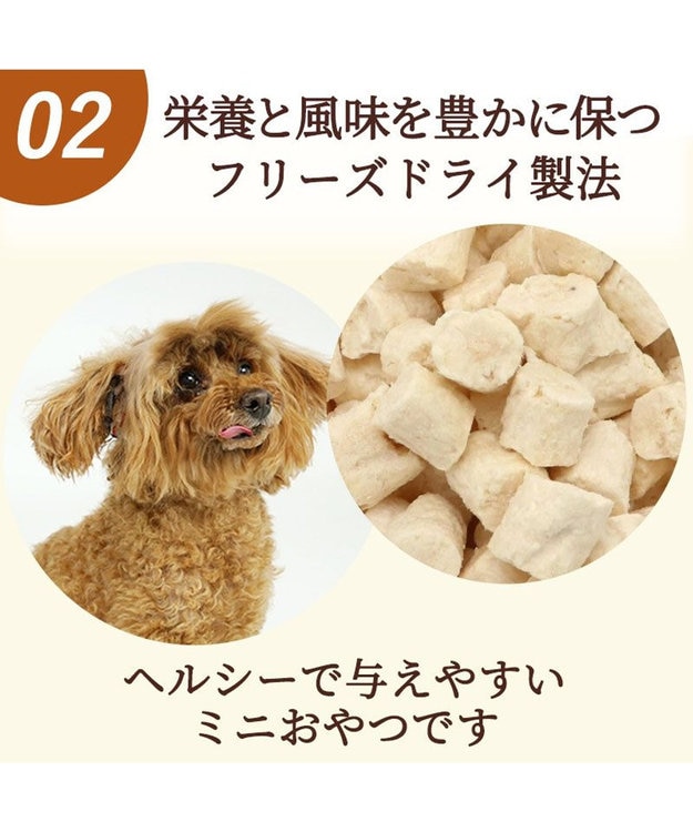 PET PARADISE サクサク鶏ささみ フリーズドライ 16g 国産 -