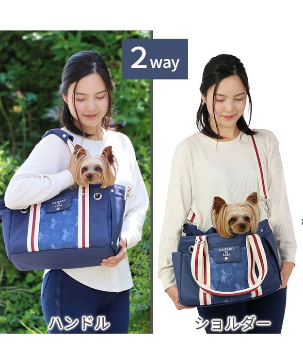 PET PARADISE リサとガスパール キャリーバッグ であい柄 【超小型犬】 紺（ネイビー・インディゴ）