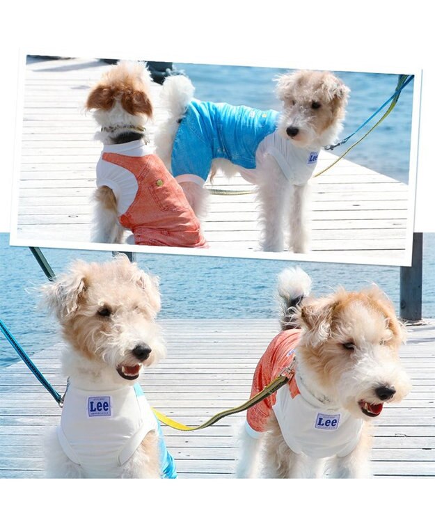PET PARADISE Ｌｅｅ つなぎ風  ロンパース 【小型犬】《ブルー/オレンジ》クールマックスエコメイド オレンジ