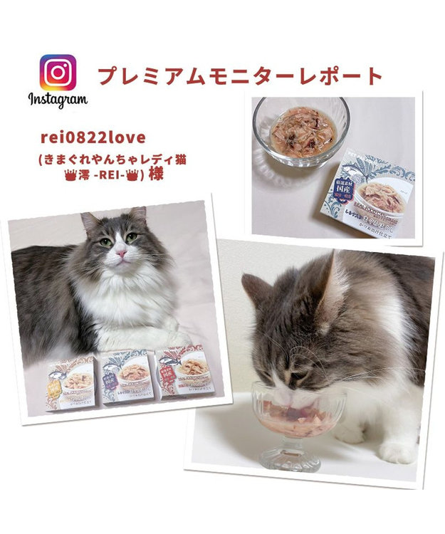 PET PARADISE キャットフード ウェット 缶 まぐろほぐし 75ｇ 《しらす/ 紅鮭/ ほたて》単品 しらす入り