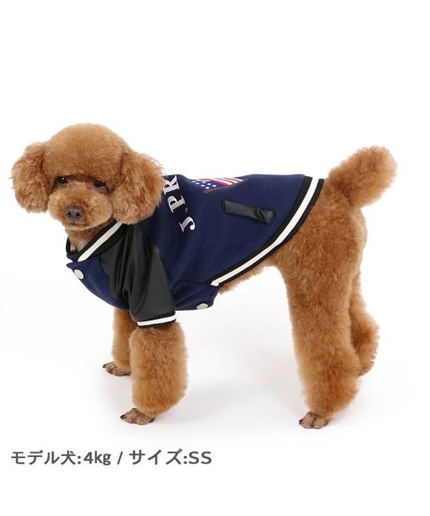PET PARADISE J.PRESS スタジャン スターズ＆ストライプス 小型犬 紺（ネイビー・インディゴ）