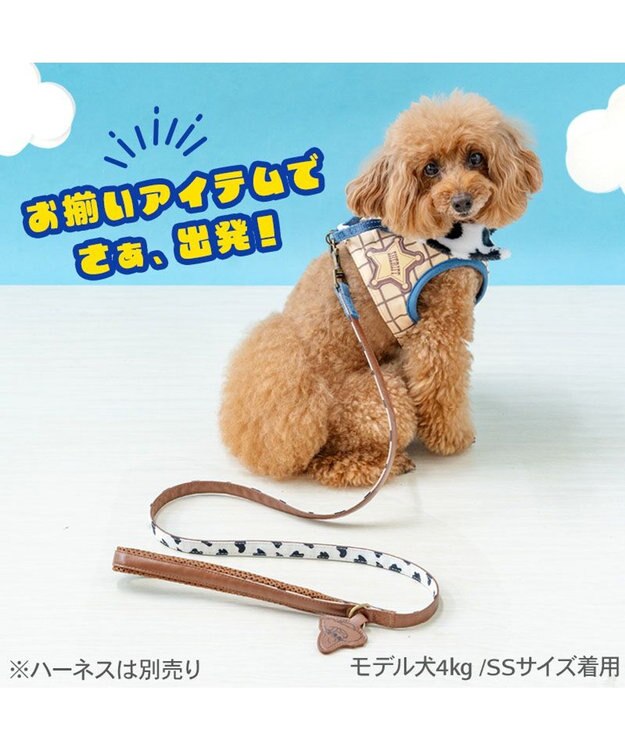 PET PARADISE ディズニー トイ・ストーリー ウッディ リード ４Ｓ～３Ｓ ブラウン