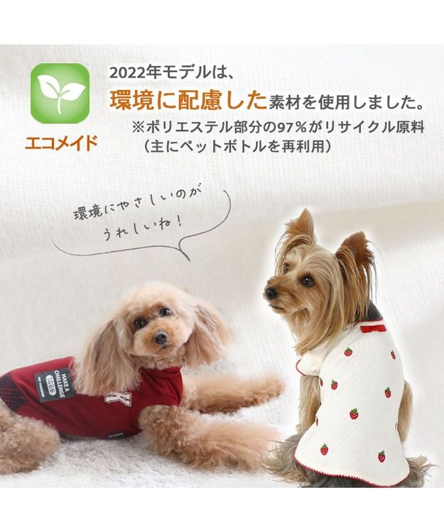 PET PARADISE 犬 服 Tシャツ 【小型犬】 プレミアム ペティーヒート カレッジ 赤 赤