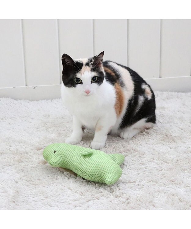 PET PARADISE 猫 おもちゃ メッシュ トイ 恐竜 恐竜
