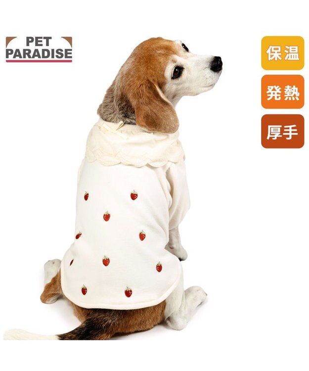 PET PARADISE ペットパラダイス ペティヒートDAN Tシャツ 《いちご柄》 中型犬 大型犬 オフホワイト