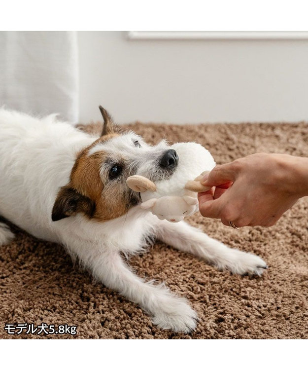 PET PARADISE ペットパラダイス 干支未 おやすみ トイ ホワイト