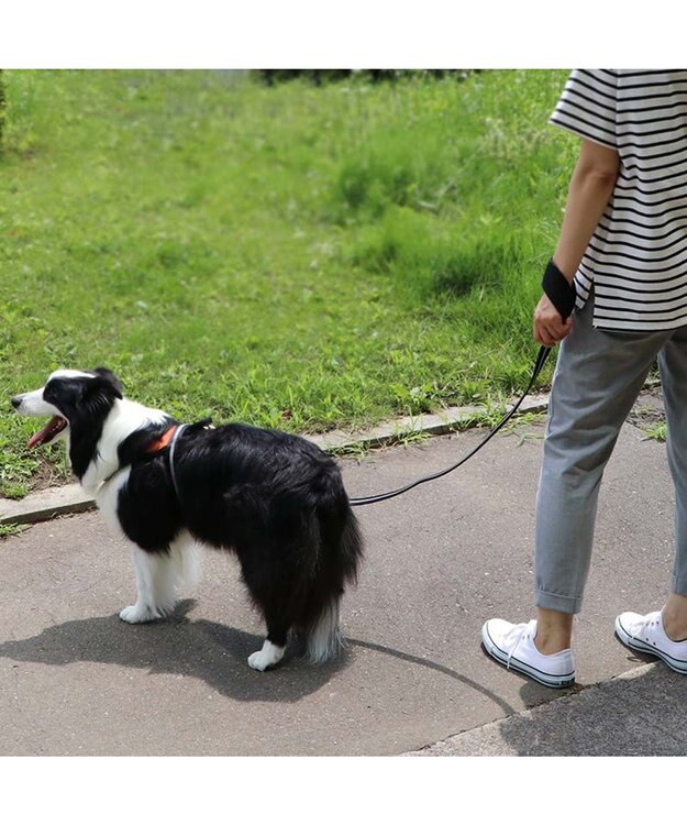 PET PARADISE 両面反射リード ブラック120㎝【Ｍ～Ｌ】 黒
