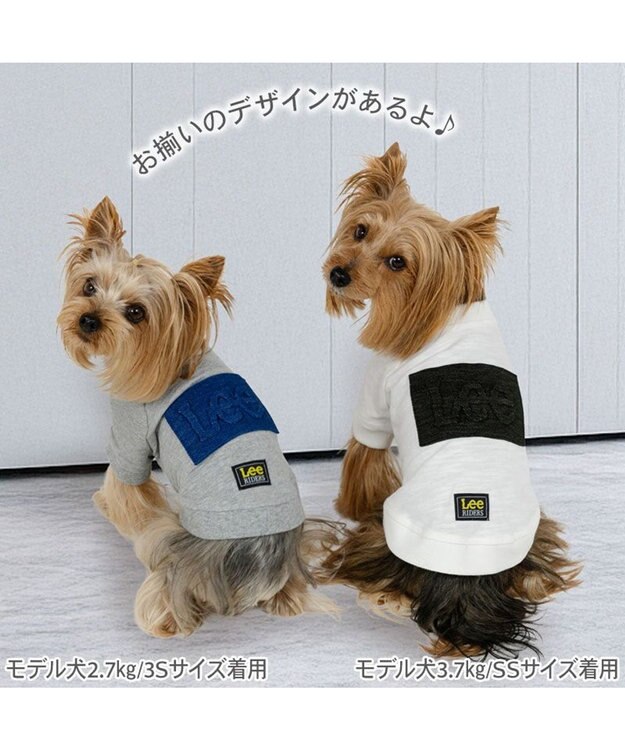 PET PARADISE Lee エンボス ロゴ Ｔシャツ 《グレー》 小型犬 グレー