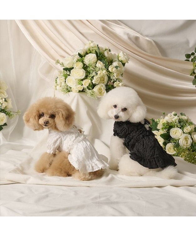 PET PARADISE cherircouture フリルリボン ワンピース 《ブラック》 小型犬 ブラック