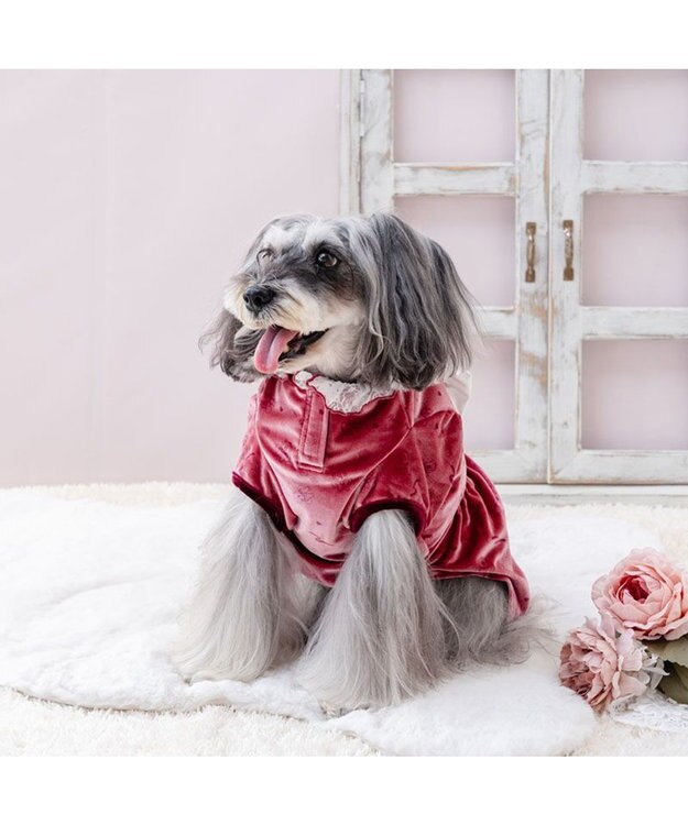 PET PARADISE ディズニー ミニーマウス ヨーク ワンピース 小型犬 レッド