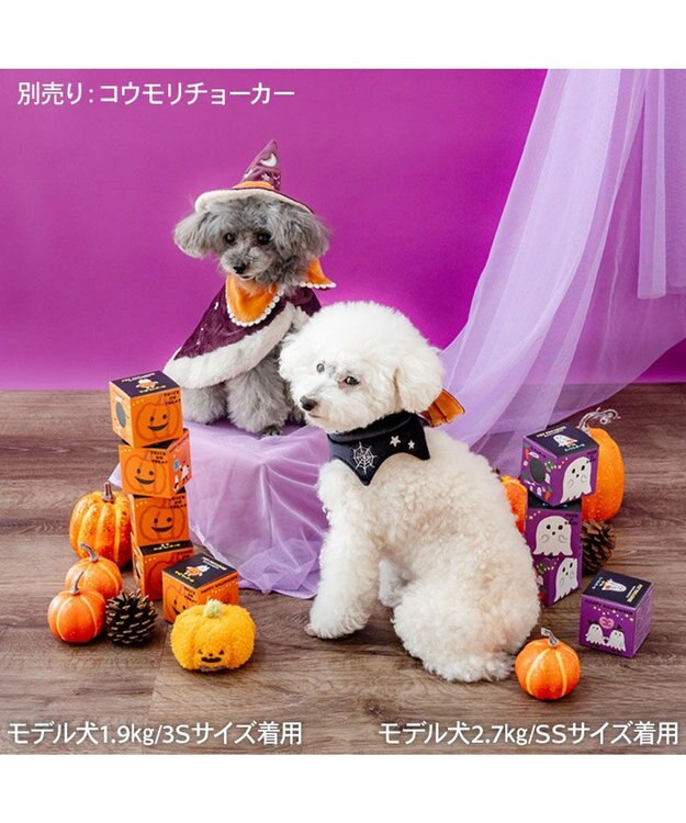 PET PARADISE ペットパラダイス 魔法つかいマント 小型犬 パープル