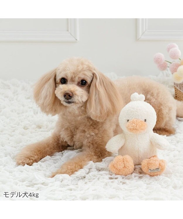 PET PARADISE ペットパラダイス 白あひるさん トイ ホワイト