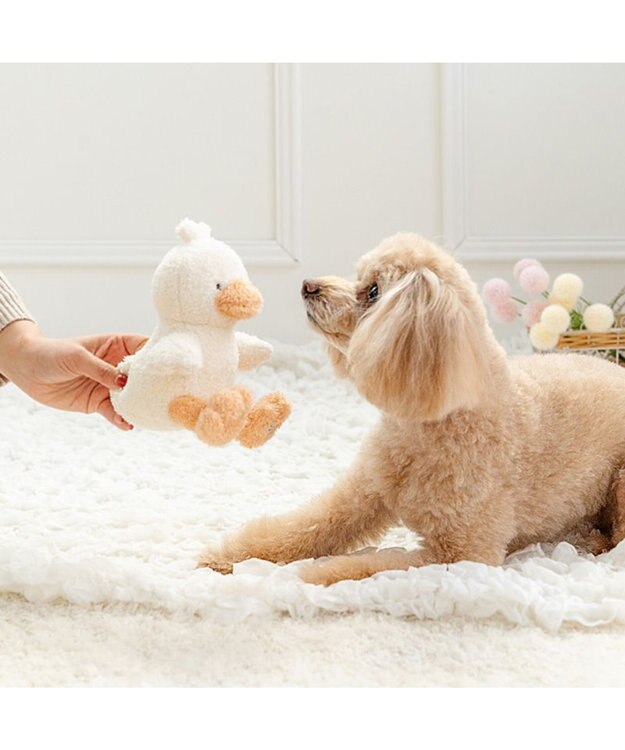 PET PARADISE ペットパラダイス 白あひるさん トイ ホワイト