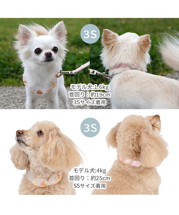 PET PARADISE ペットパラダイス １８℃ クールリング ３Ｓ 《アイス柄》 ピンク