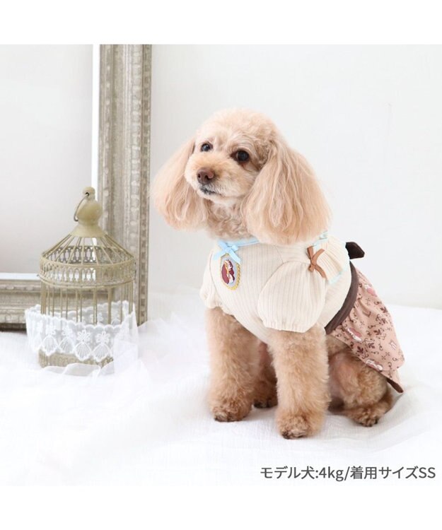 PET PARADISE ディズニー わんわん物語 レディ ワンピース 《モノグラム柄》 小型犬 モノグラム柄