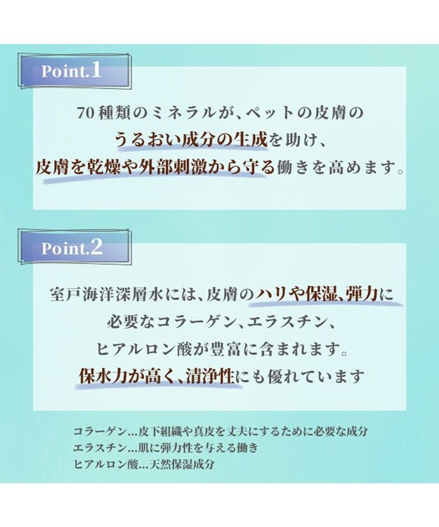PET PARADISE 犬 スキンケア ミスト ミネラルミューズ 200mL -