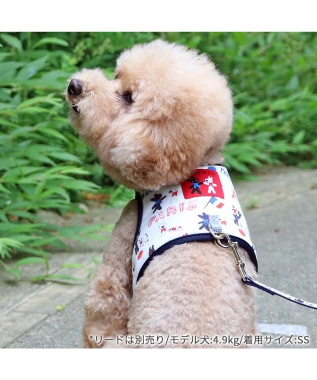 PET PARADISE リサとガスパール 保冷剤ポケット付き ハーネス Ｓ 小型犬 保冷剤付き