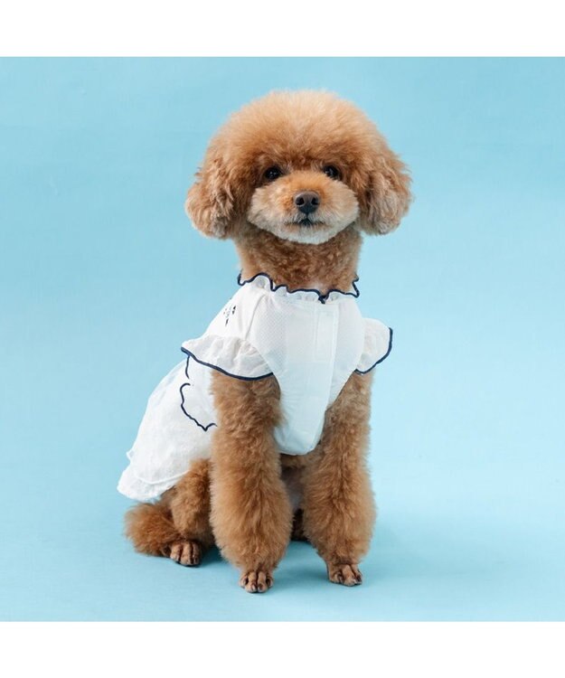 PET PARADISE ペットパラダイス フロッキー お花 ワンピース 《ホワイト》 小型犬 ホワイト