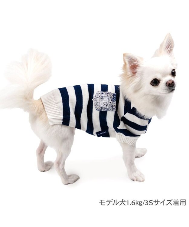 PET PARADISE J.PRESS ボーダー綿ニット 小型犬 ホワイト×ネイビー