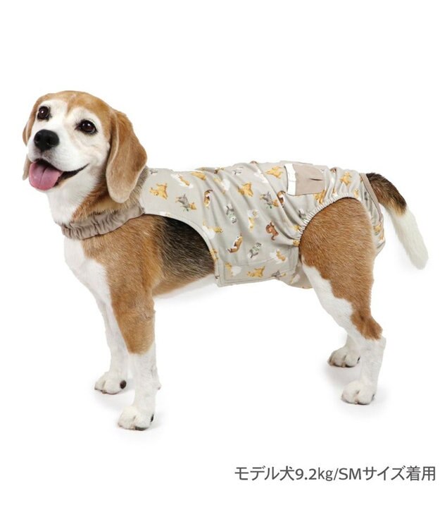 PET PARADISE ペットパラダイス makokoro マナーオール 《犬柄》 中型犬 グレイッシュベージュ