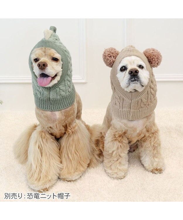 PET PARADISE ペットパラダイス くまちゃん ニット 帽子 中型犬 大型犬 ベージュ