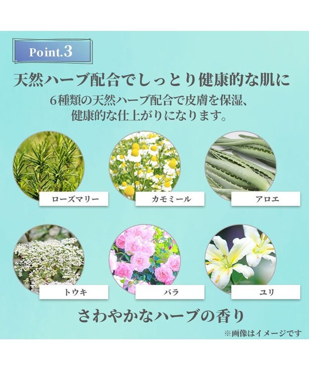 PET PARADISE ペットパラダイス  薬用 イオウ シャンプー 300ｍＬ  国産 -