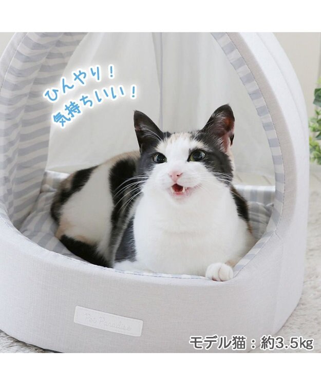 PET PARADISE 猫 ハウス クール 夏 接触冷感 ひんやり ねこハウス (40×35cm) 水色