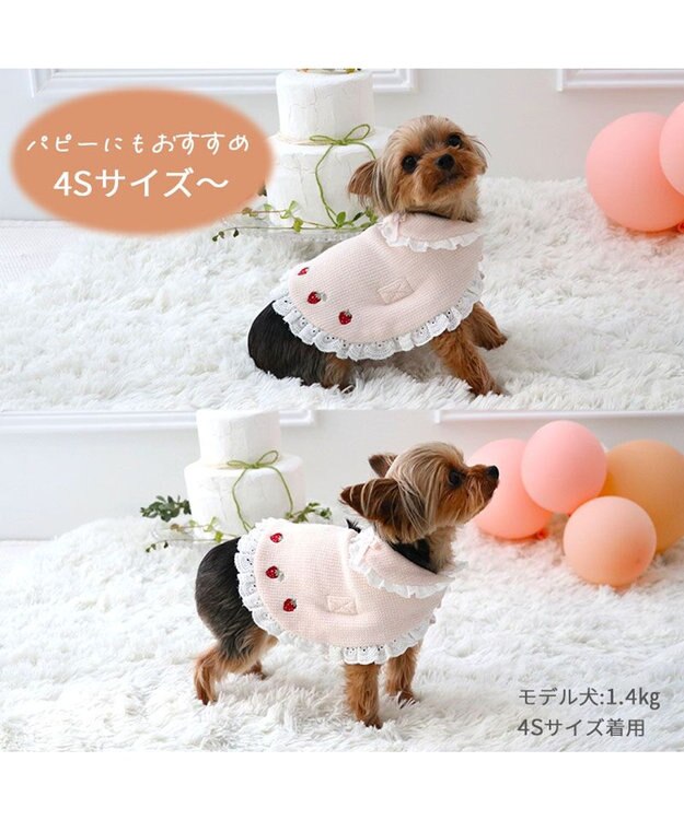 PET PARADISE ペットパラダイス お手軽 ポンチョ 《いちご》 小型犬 ピンク