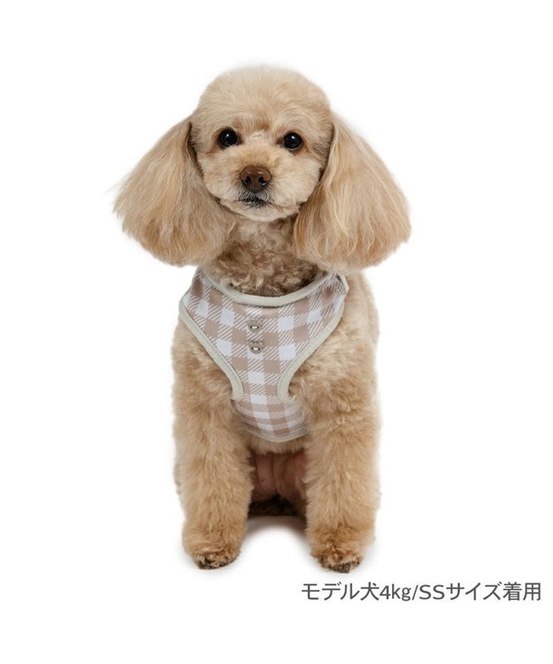 PET PARADISE ペットパラダイス くまちゃん リュック付き ハーネス ＳＳ 小型犬 ベージュ