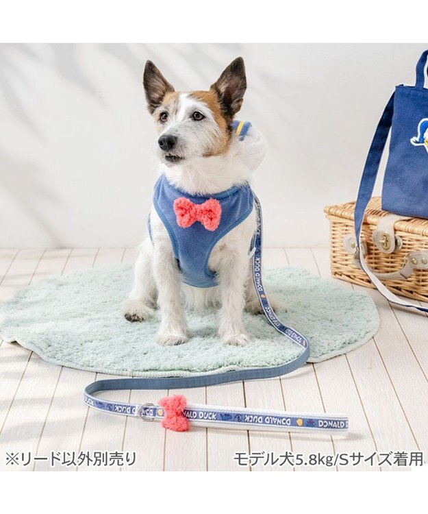 PET PARADISE ディズニー ドナルドダック リード ４Ｓ～３Ｓ ブルー