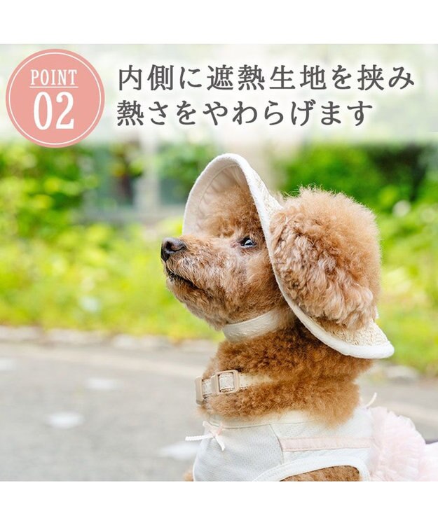 PET PARADISE ペットパラダイス レース クール ハット ４Ｓ～３Ｓ/ＳＳ～Ｓ 小型犬 ベージュ