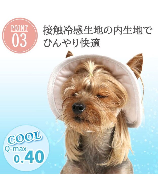 PET PARADISE ペットパラダイス レース クール ハット ４Ｓ～３Ｓ/ＳＳ～Ｓ 小型犬 ベージュ