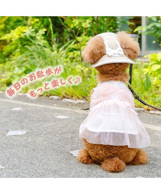 PET PARADISE ペットパラダイス レース クール ハット ４Ｓ～３Ｓ/ＳＳ～Ｓ 小型犬 ベージュ