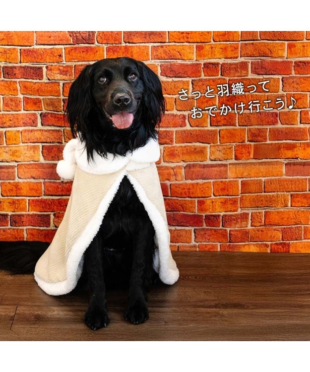 PET PARADISE スヌーピー マフラー ポンチョ  中型犬 大型犬 ベージュ
