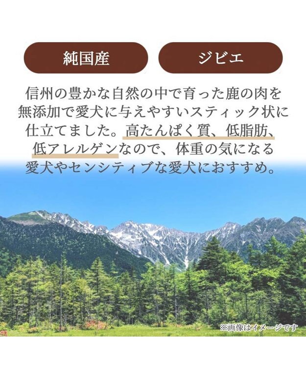 PET PARADISE 鹿肉 スティックジャーキー 40g 国産 -