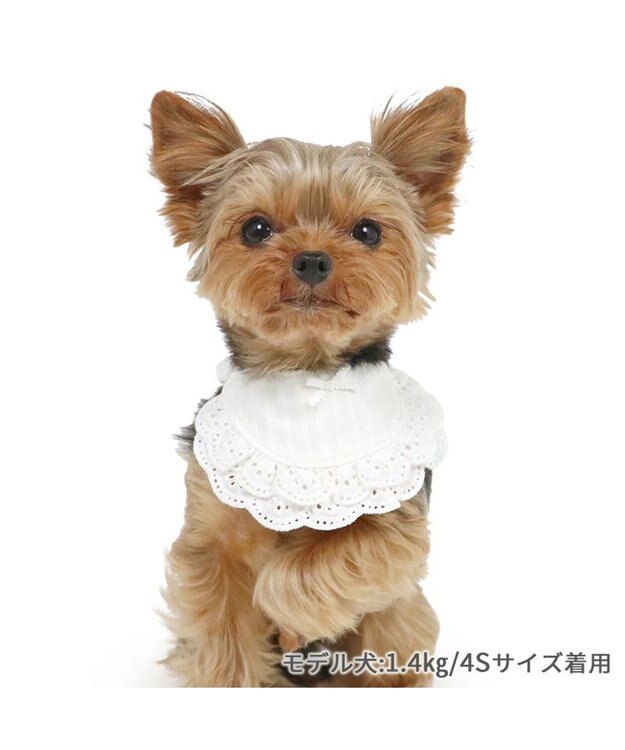 PET PARADISE ペットパラダイス フリルスタイ 小型犬 ホワイト
