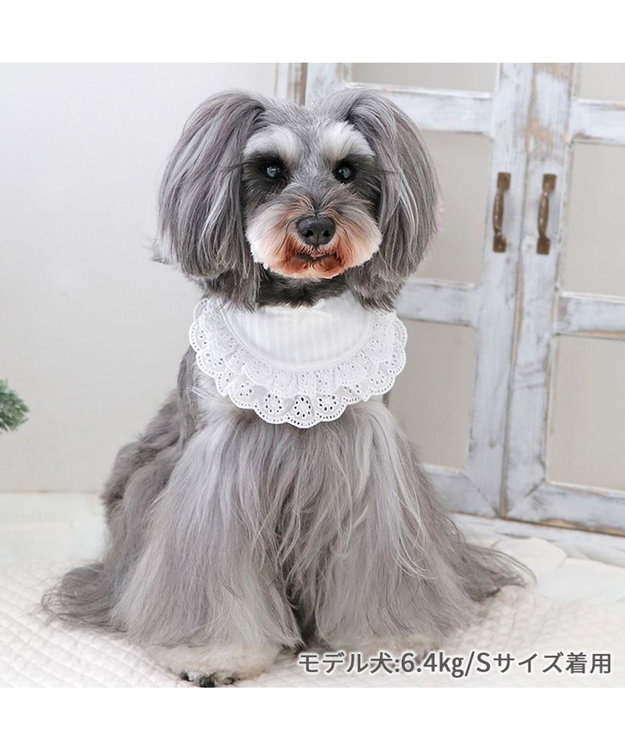 PET PARADISE ペットパラダイス フリルスタイ 小型犬 ホワイト