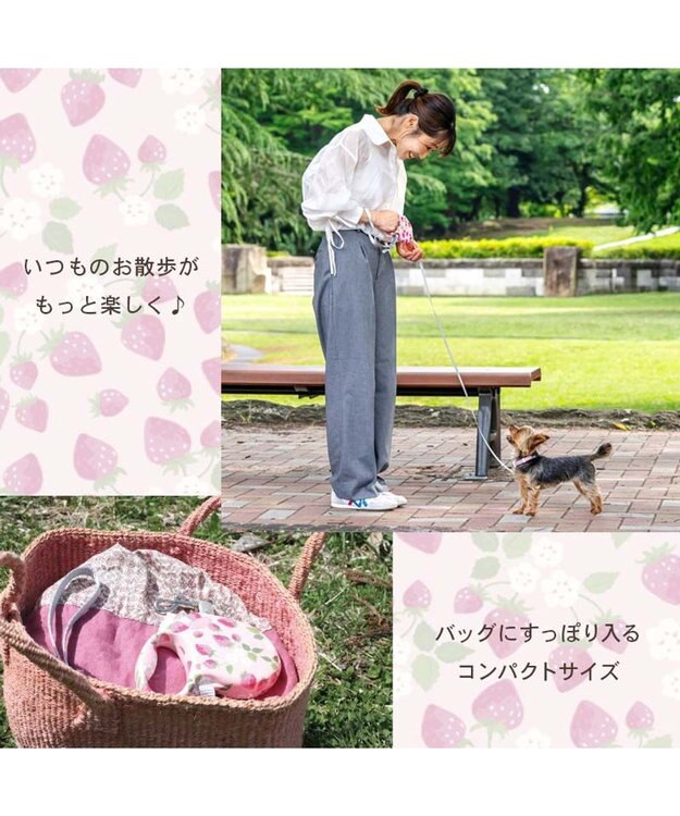 PET PARADISE ペットパラダイス 伸縮リード 《いちご柄 / ロゴ柄 》【小型犬】軽量 ロック式 いちご柄
