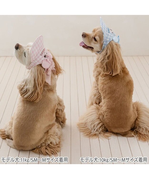 PET PARADISE ディズニー ミッキーマウス なかよし キャップ 《ブルー》 中型犬 ライトブルー