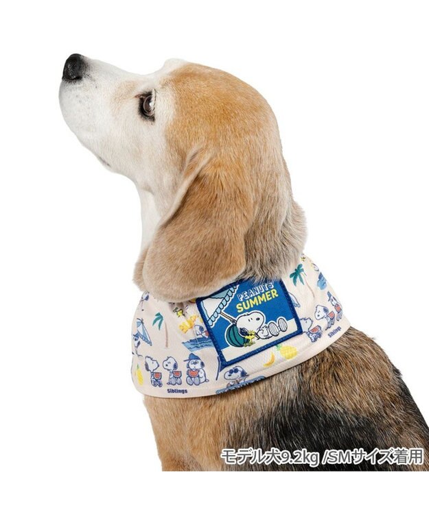 PET PARADISE スヌーピー クールネック 《サマーバケーション柄》 中型犬 大型犬 マルチカラー