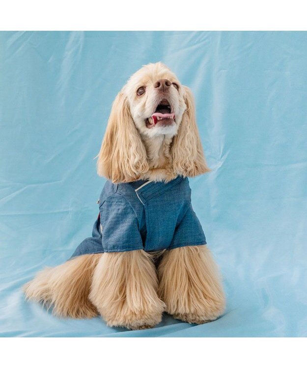 PET PARADISE ペットパラダイス 鯛刺繍 浴衣 中型犬 大型犬 ネイビー