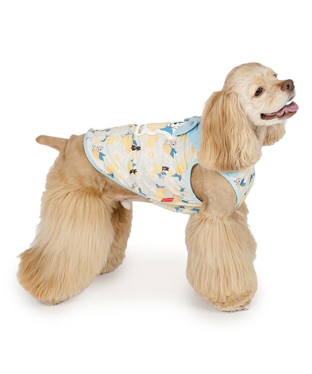 PET PARADISE リサとガスパール エコメイド シトラス タンクトップ 中型犬 大型犬 ホワイト×ブルー