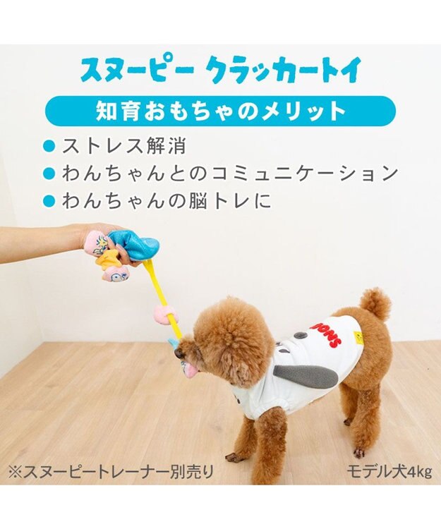 PET PARADISE スヌーピー クラッカートイ ブルー
